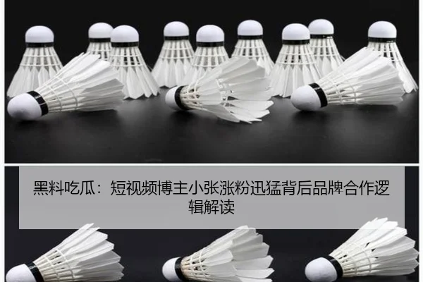 黑料吃瓜：短视频博主小张涨粉迅猛背后品牌合作逻辑解读